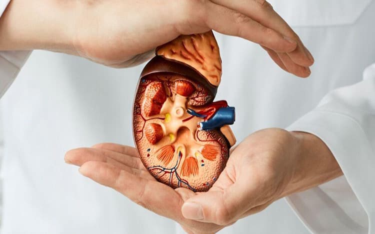 Enfermedad renal crónica